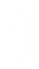 YOZA | Grow Beyond